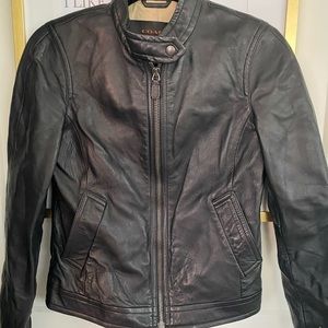 Coach moto jacket